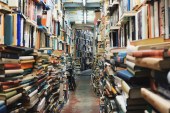 AUSBILDUNG IN GERMANIA: ce n’è per tutti i gusti.
