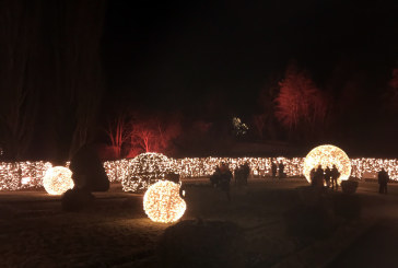 Christmas Garden: un’infusione di luci per Natale