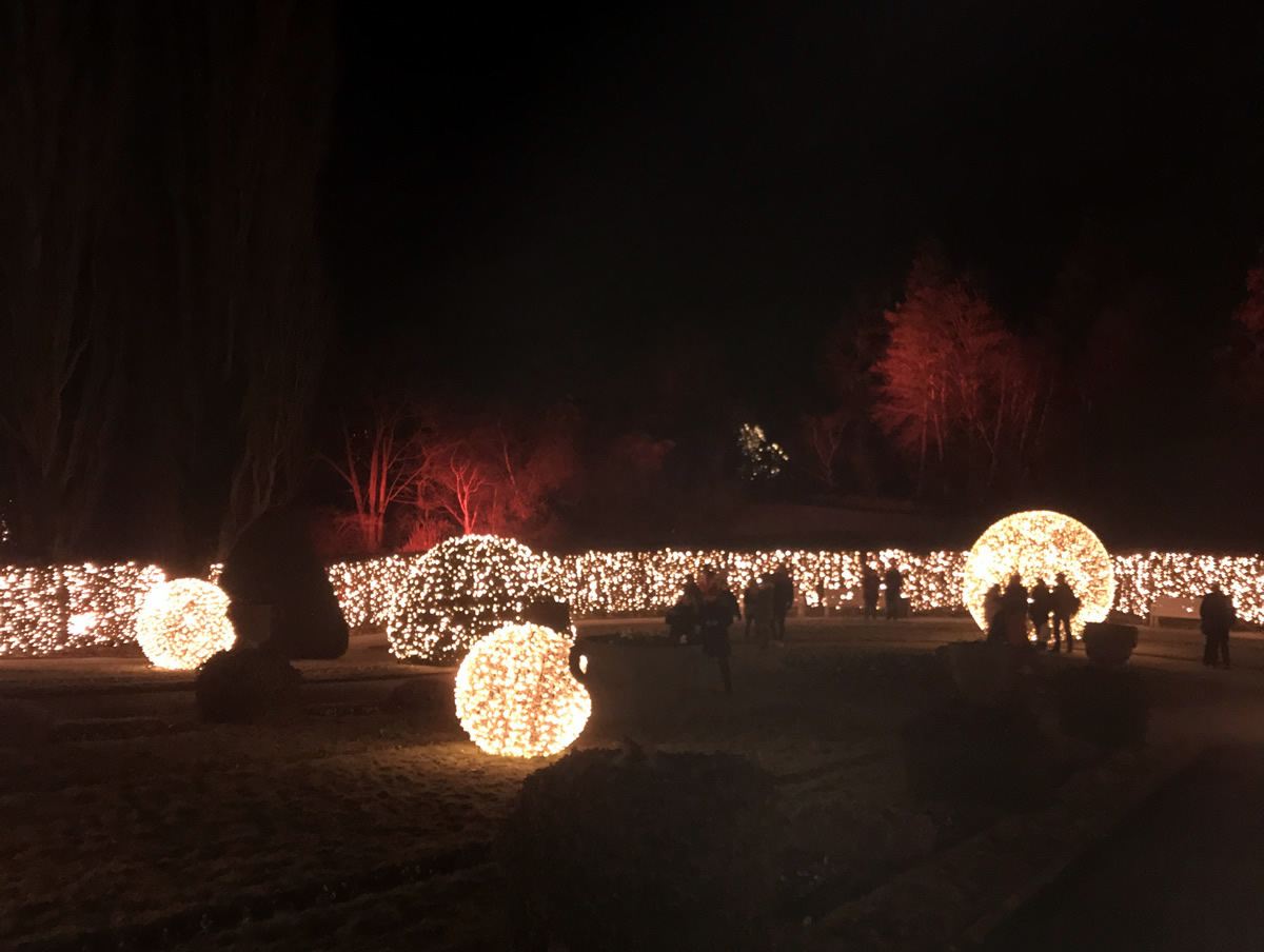 Christmas Garden: un’infusione di luci per Natale