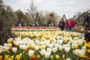 Britzer Garten